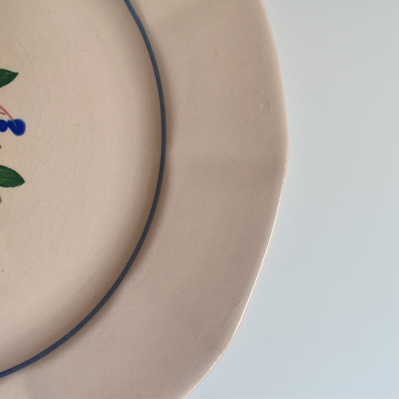 Vintage Dessert Plate Digoin & Sarreguemines 9177