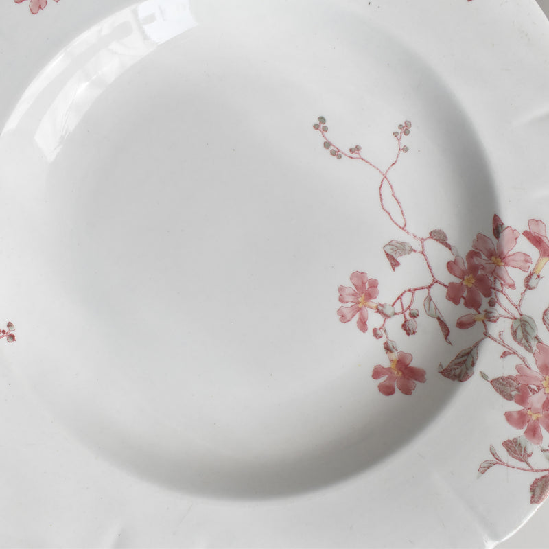Antique deep plate KG Luneville Fleurs roses B