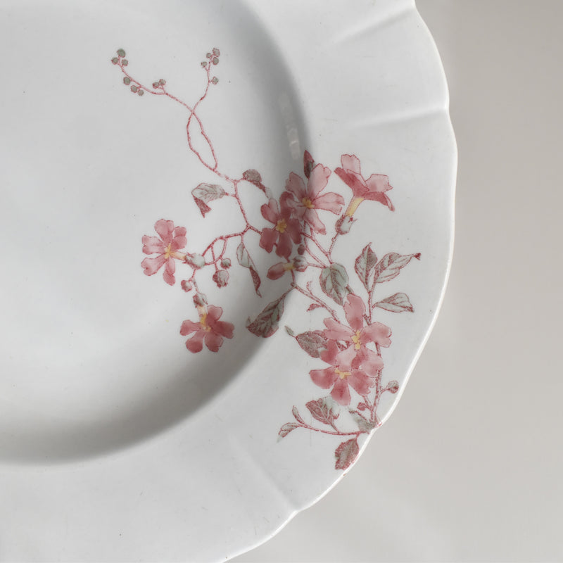 Antique deep plate KG Luneville Fleurs roses B
