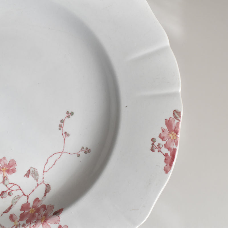 Antique deep plate KG Luneville Fleurs roses B