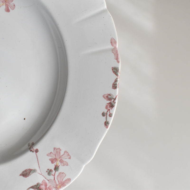 Antique Deep Plate, KG Lunéville, Fleurs Roses C