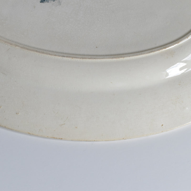 Antique Oval Platter Badonviller Primerose
