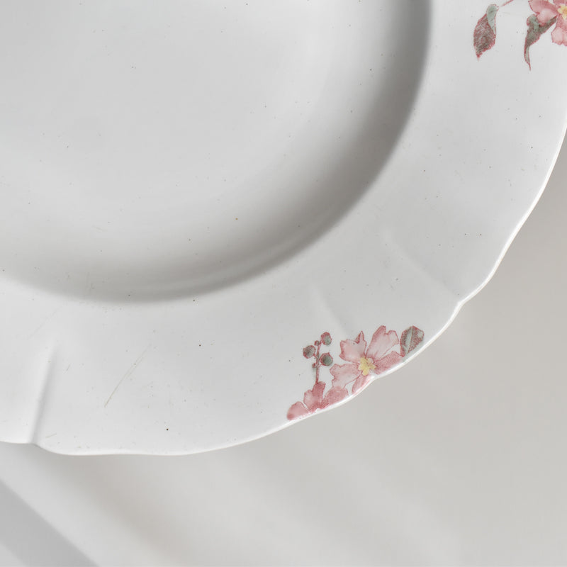 Antique Deep Plate, KG Lunéville, Fleurs Roses C