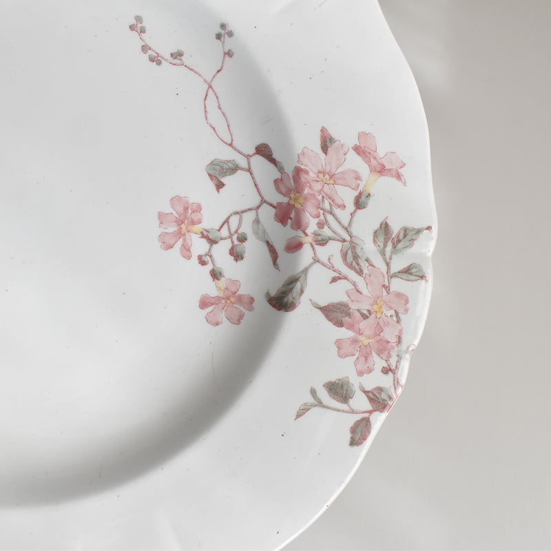 Antique Deep Plate, KG Lunéville, Fleurs Roses C