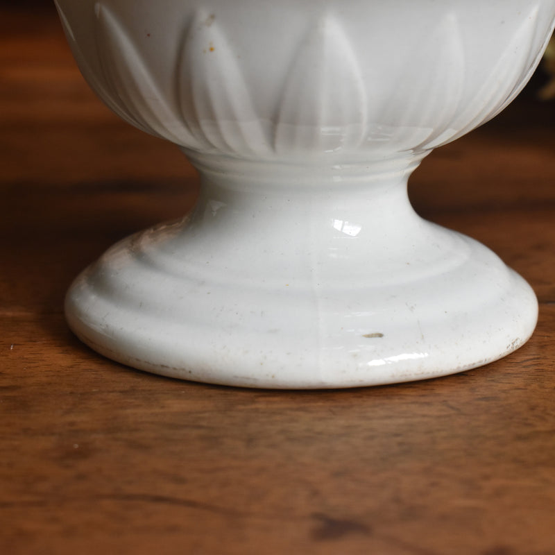 Antique Sugar Pot, Creil et Montereau, White