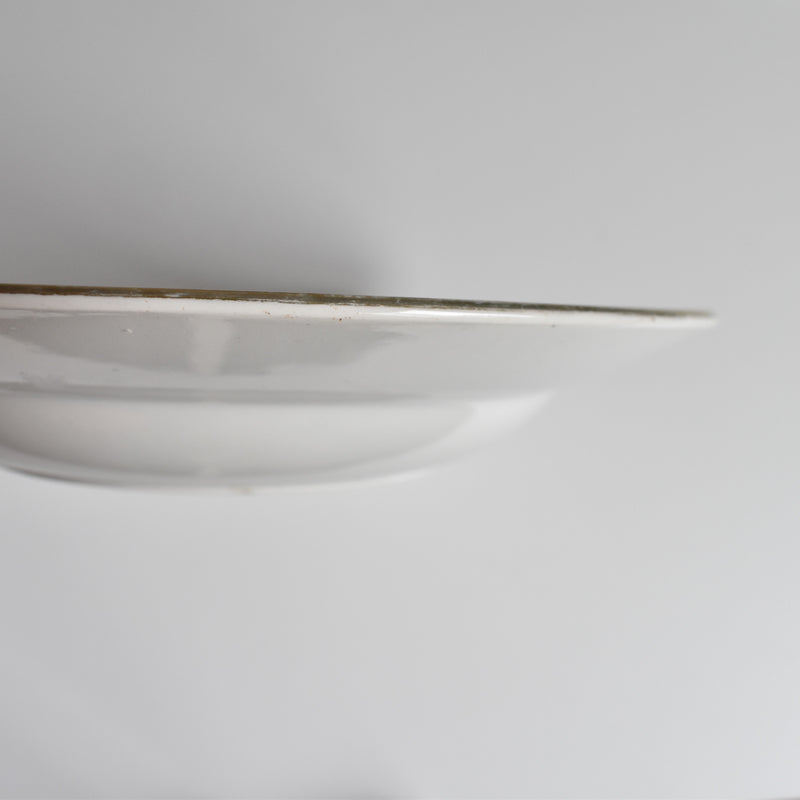 Vintage deep plate Digoin & Sarreguemines 3985 A