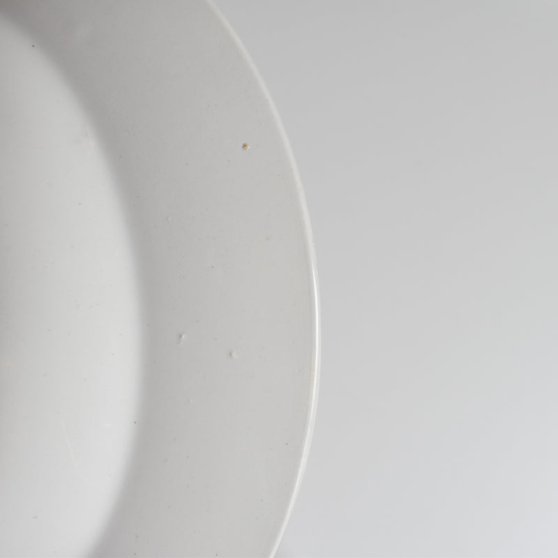 Vintage Deep Plate, Digoin & Sarreguemines 3985 B