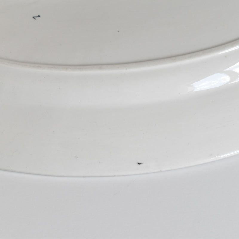 Antique Oval Platter, U&C Sarreguemines Carina
