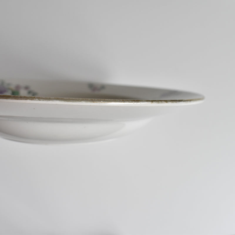 Vintage Deep Plate, Digoin & Sarreguemines 3985 B