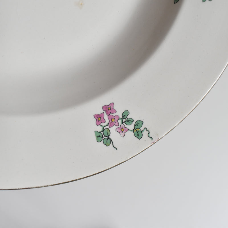 Vintage Deep Plate, Digoin & Sarreguemines 3985 B