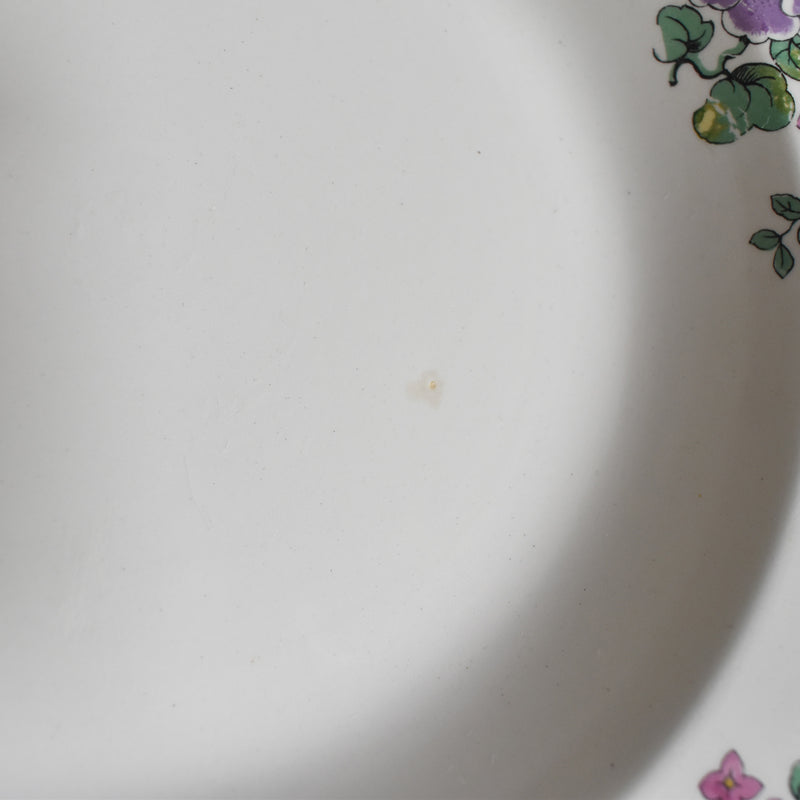 Vintage Deep Plate, Digoin & Sarreguemines 3985 B