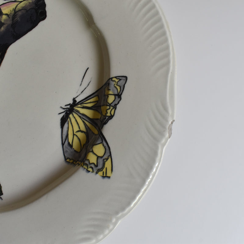Antique Plate Barluet&Cie Creil Montereau Service Rousseau B