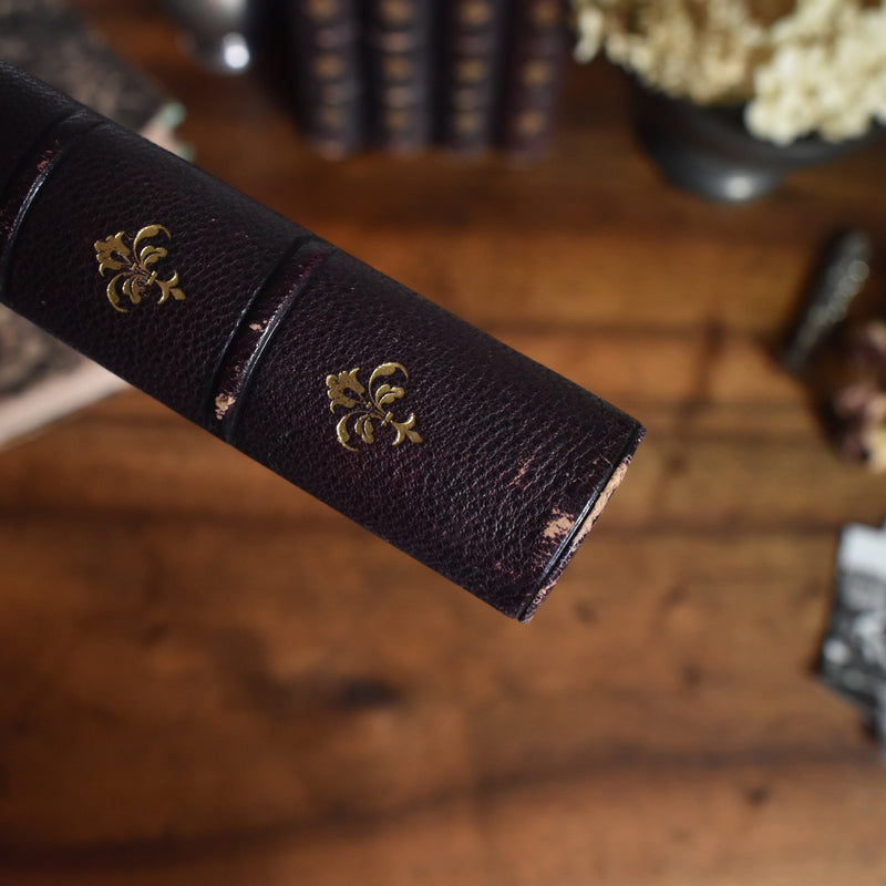 Antique Book: A. THIERS Révolution Française Tome 3