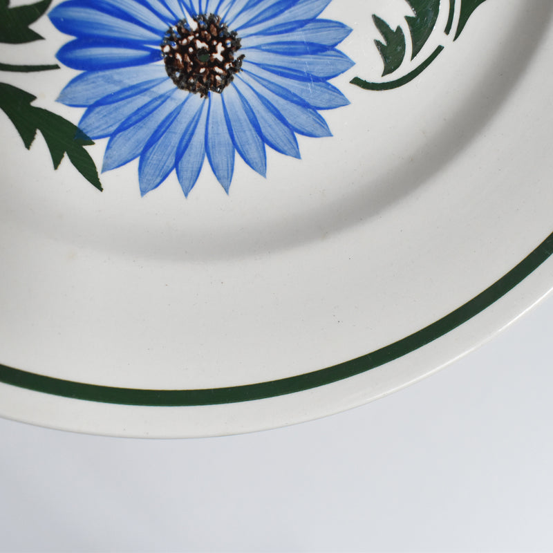 Vintage Plate Digoin & Sarreguemines Chalons A