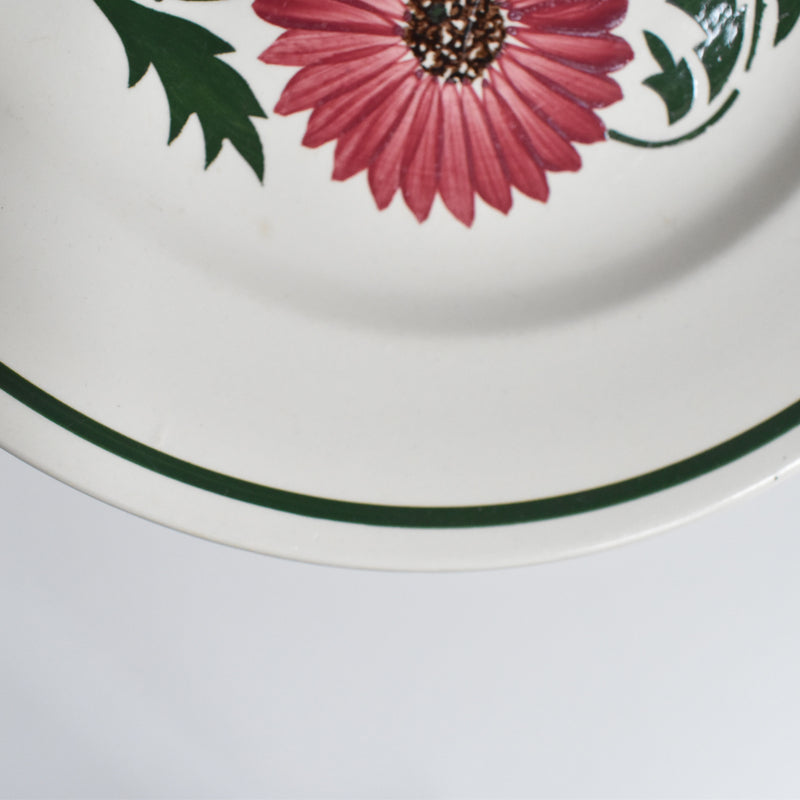 Vintage Plate Digoin & Sarreguemines Chalons A