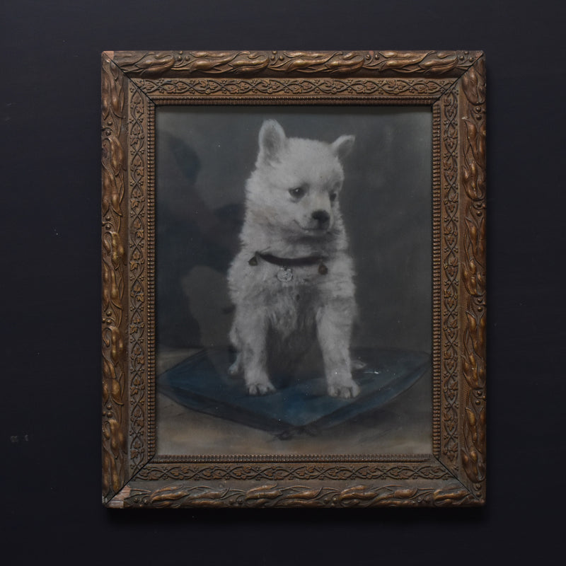 Antique Frame Chien