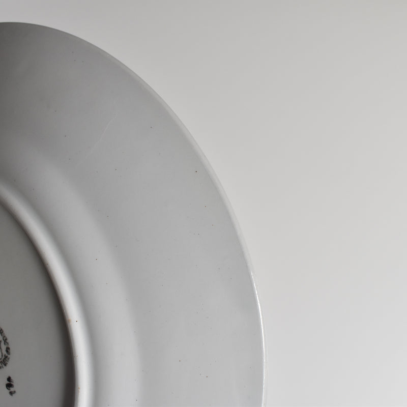Antique Plate: Pécsenne, Raisins B