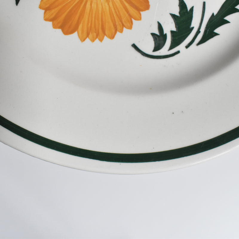 Vintage Plate Digoin & Sarreguemines Chalons B