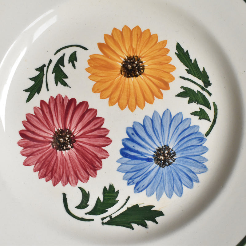 Vintage Plate Digoin & Sarreguemines Chalons C