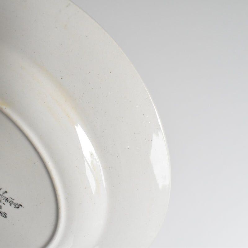 Vintage Plate Digoin & Sarreguemines Chalons D