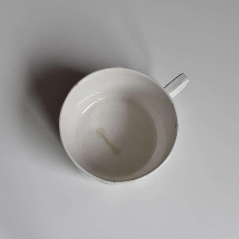 Vintage Teacup, Digoin & Sarreguemines Perse E