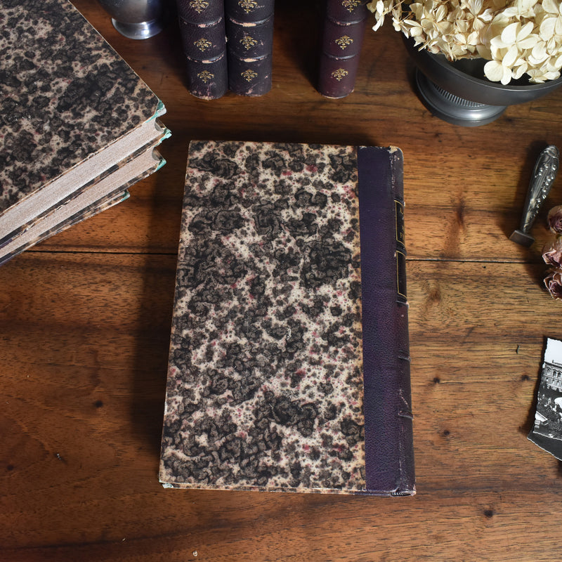 アンティーク本 A.THIERS Révolution Française Tome 6