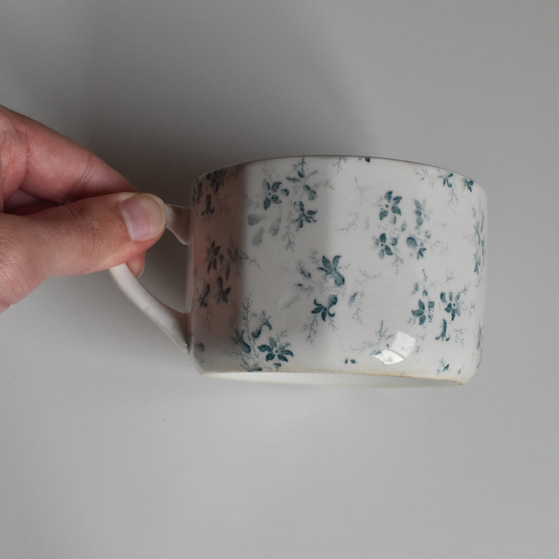 Vintage Teacup, Digoin & Sarreguemines Perse E