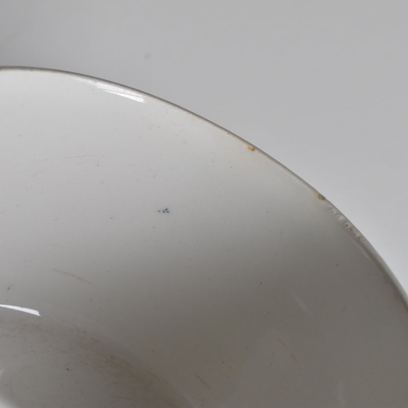Vintage Teacup, Digoin & Sarreguemines Perse E