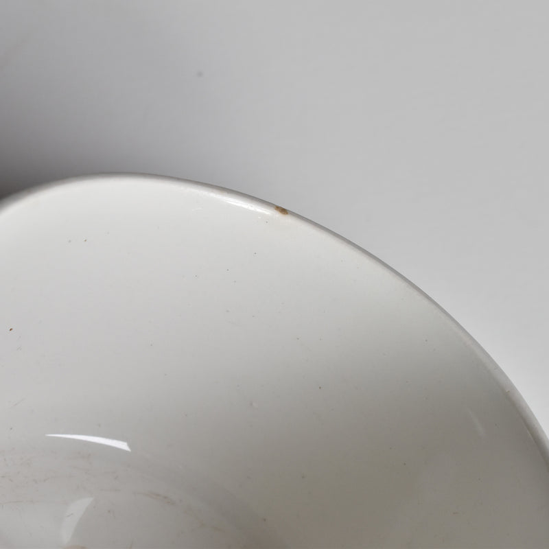 Vintage Teacup, Digoin & Sarreguemines Perse E