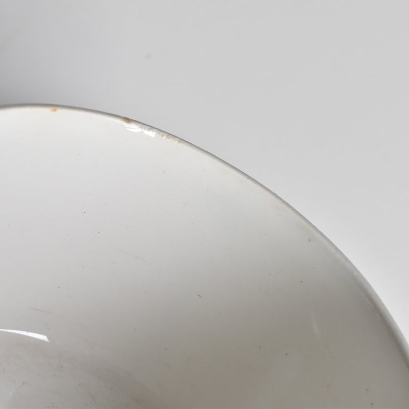 Vintage Teacup, Digoin & Sarreguemines Perse E