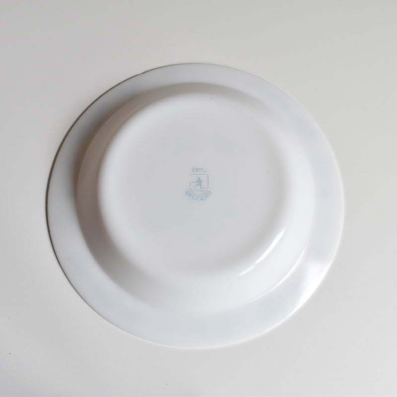Vintage Glass Deep Plate ARCOPAL Oignon Bleu