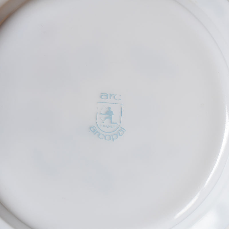 Vintage Glass Deep Plate ARCOPAL Oignon Bleu