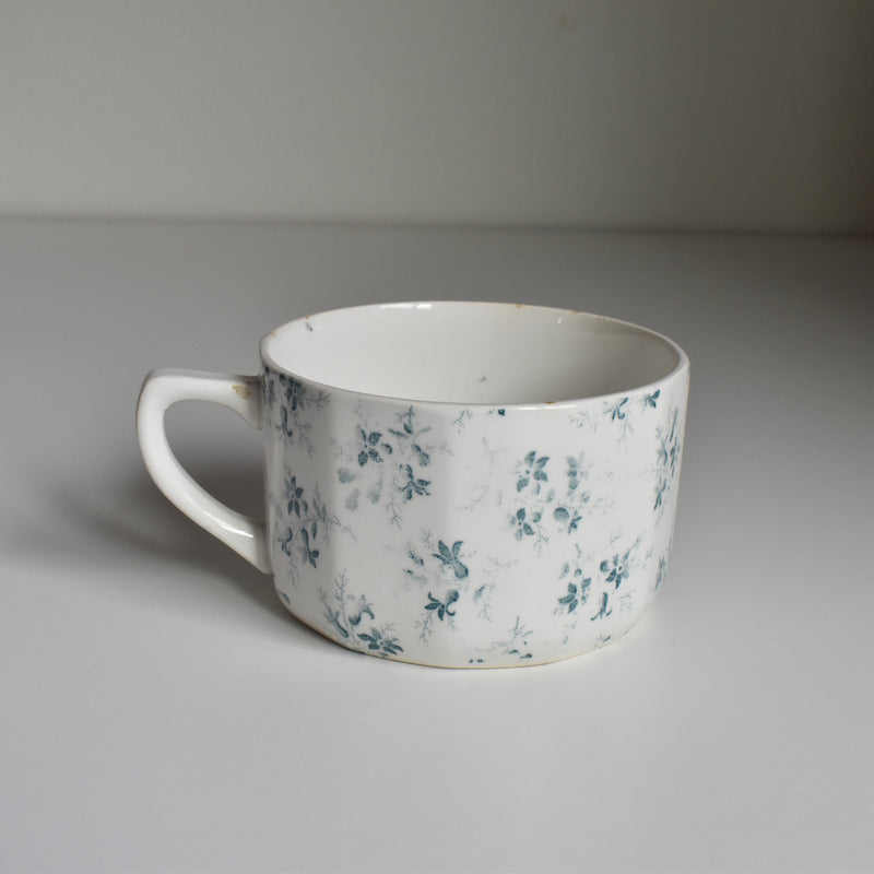 Vintage Teacup, Digoin & Sarreguemines Perse E