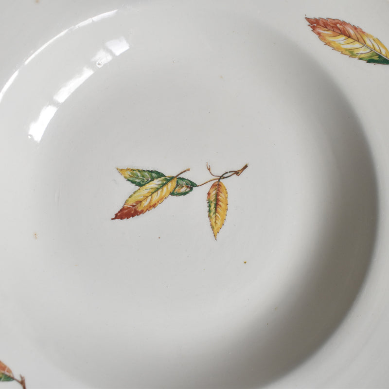 Vintage Deep Plate Digoin & Sarreguemines Nemours G
