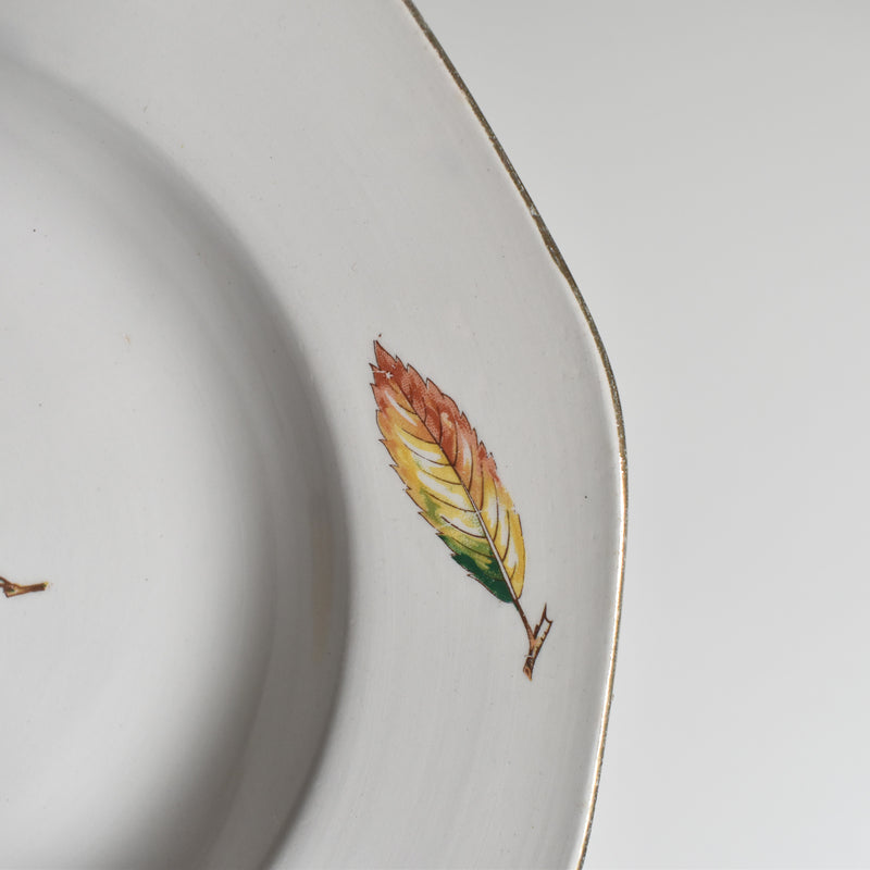 Vintage Deep Plate Digoin & Sarreguemines Nemours G