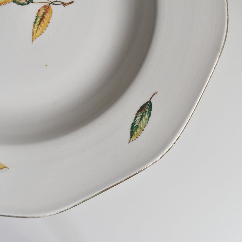 Vintage Deep Plate Digoin & Sarreguemines Nemours G