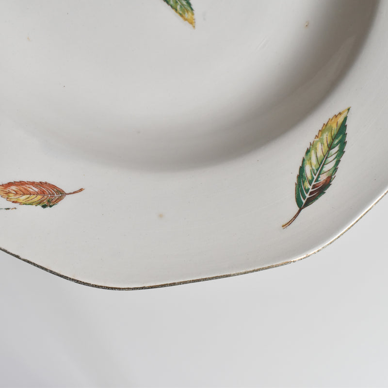 Vintage Deep Plate Digoin & Sarreguemines Nemours G