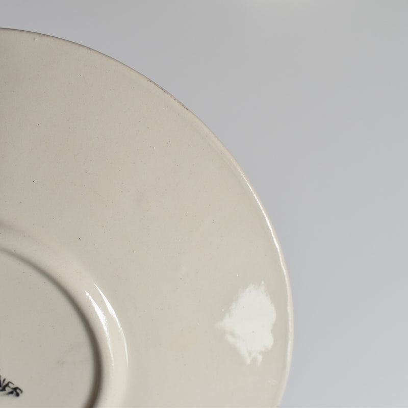 Vintage Coffee Cup and Saucer, Digoin & Sarreguemines Iris 9225 A
