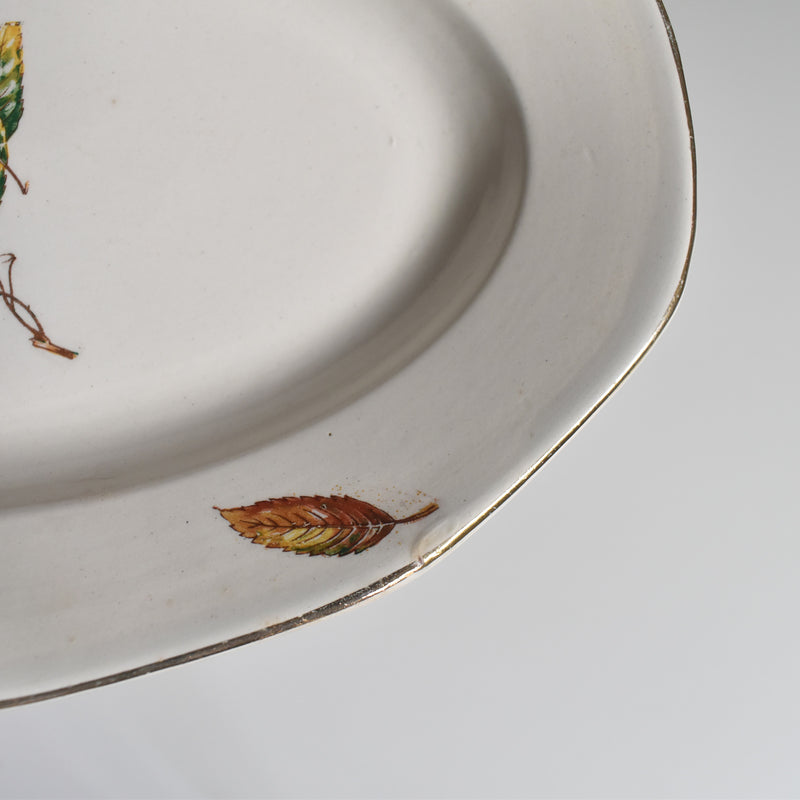 Vintage Raviere Digoin & Sarreguemines Nemours A