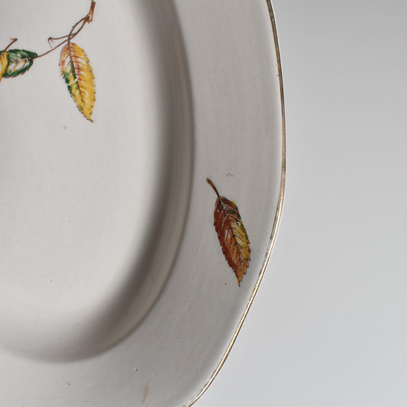 Vintage Raviere Digoin & Sarreguemines Nemours A