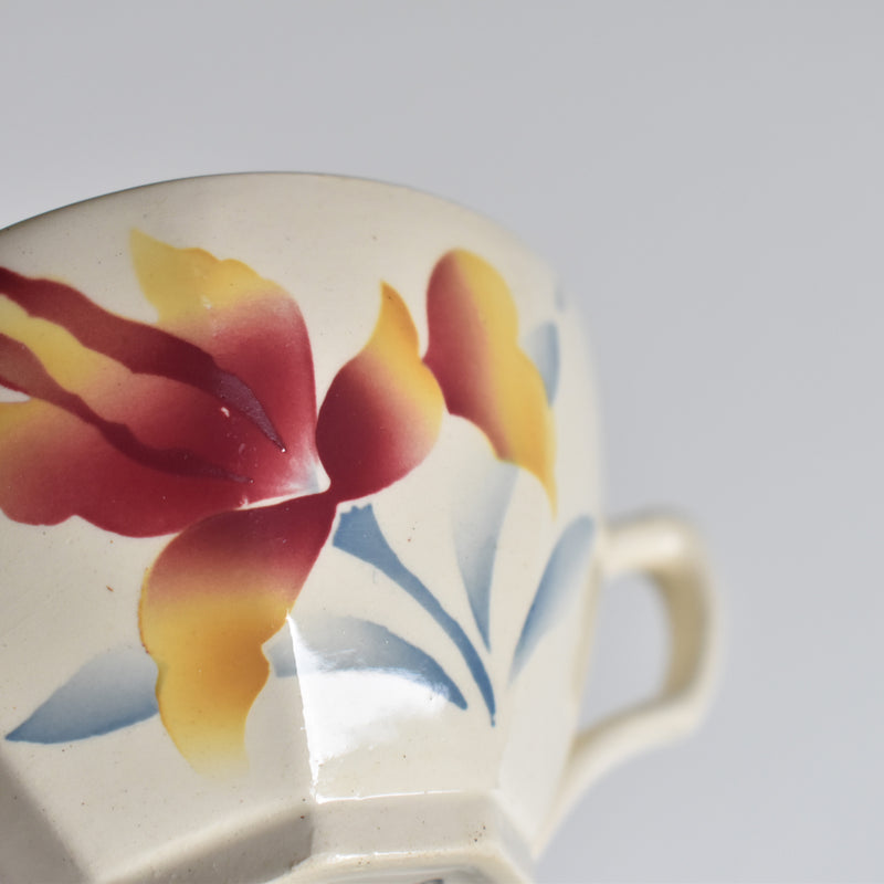 Vintage Coffee Cup and Saucer, Digoin & Sarreguemines Iris 9225 A