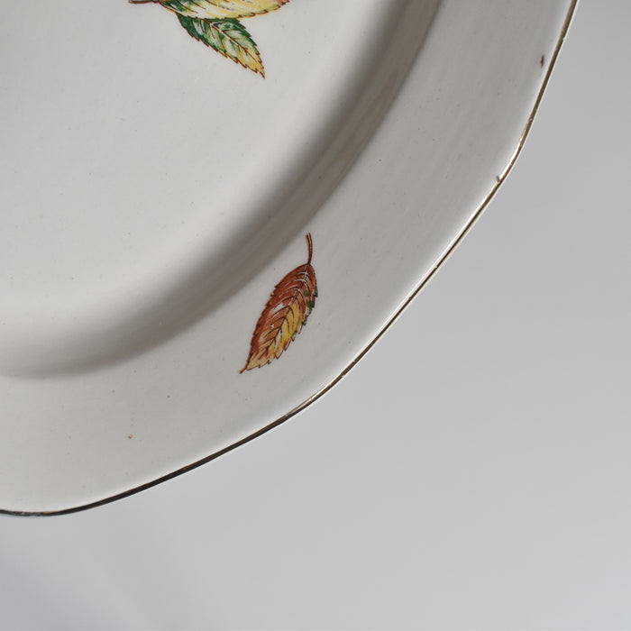 ヴィンテージラヴィエ ディゴワン＆サルグミンヌ Nemours B