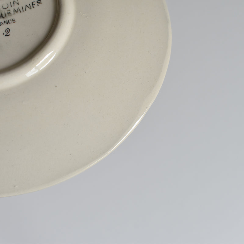 Vintage Coffee Cup and Saucer Digoin & Sarreguemines Iris 9225 B