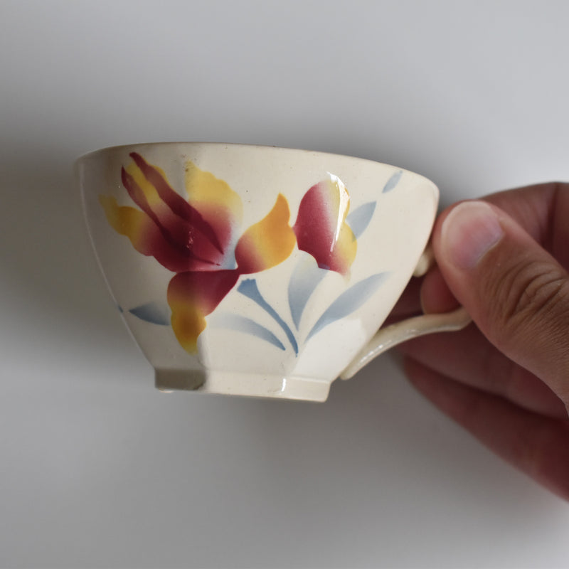 Vintage Coffee Cup and Saucer Digoin & Sarreguemines Iris 9225 B