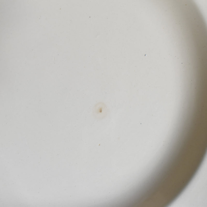 Vintage Deep Plate Digoin & Sarreguemines Floral Rim Ivoire C