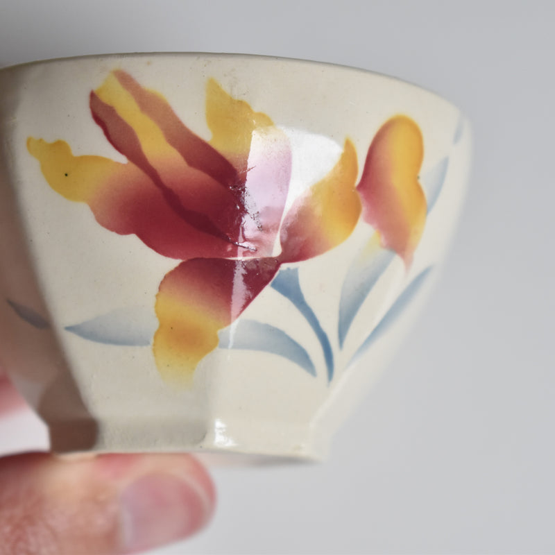 Vintage Coffee Cup and Saucer, Digoin & Sarreguemines Iris 9225 C