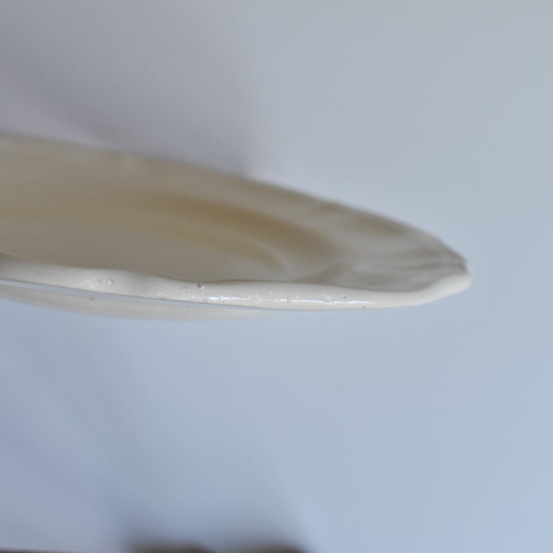 Vintage Plate, Digoin & Sarreguemines, Floral Rim, Ivoire A