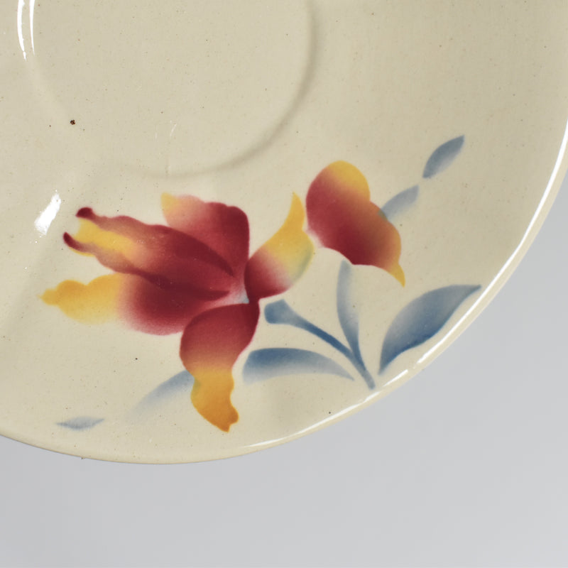 Vintage Coffee Cup and Saucer Digoin & Sarreguemines Iris 9225 D
