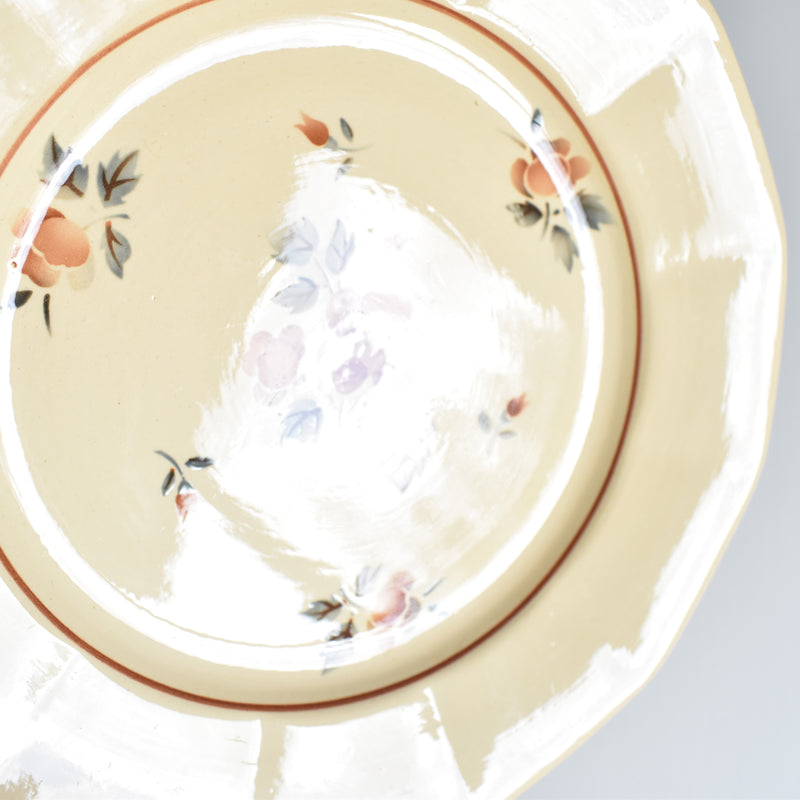 Vintage Plate Digoin & Sarreguemines 9189 C