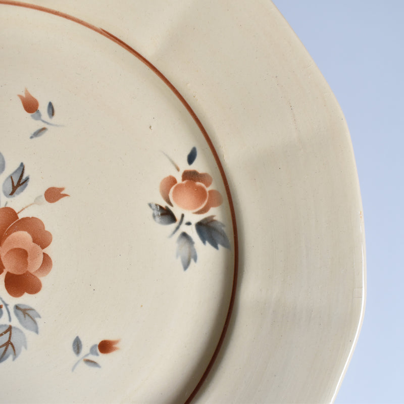 Vintage Plate Digoin & Sarreguemines 9189 C